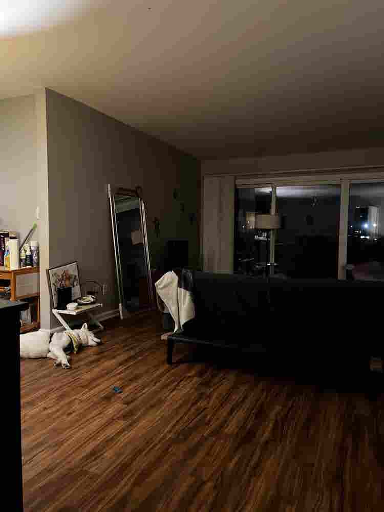 2 Rooms in North Glendale - Females