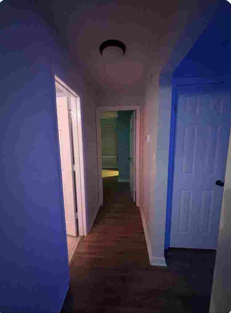 Roommate needed.