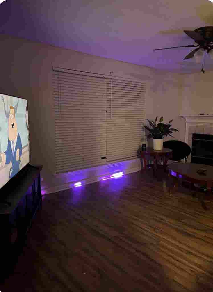 Roommate needed.