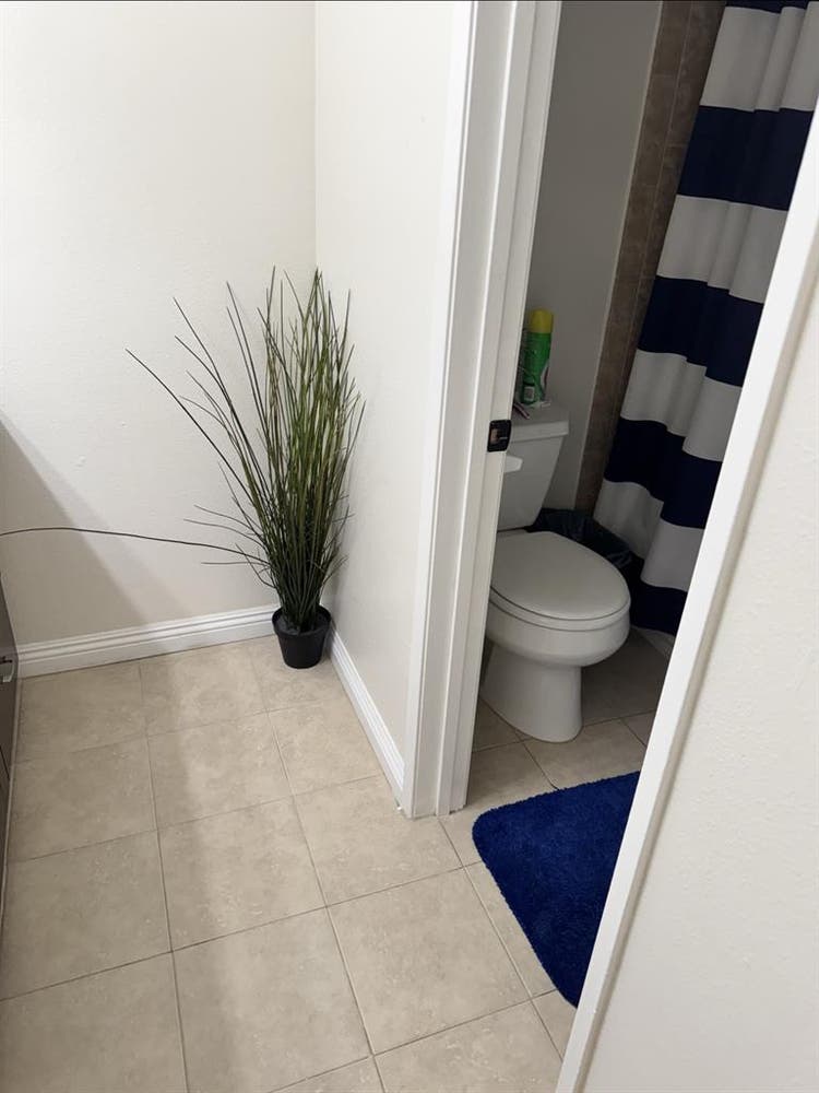 Clean Quiet Room