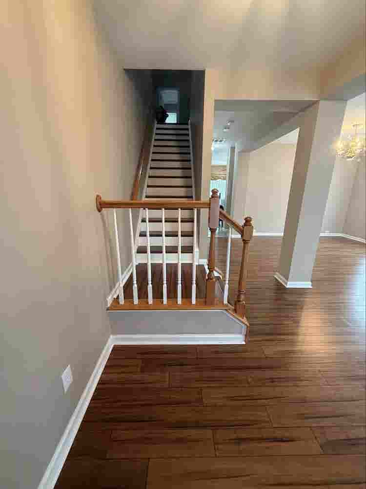 Half a 5 BDR house to share.
