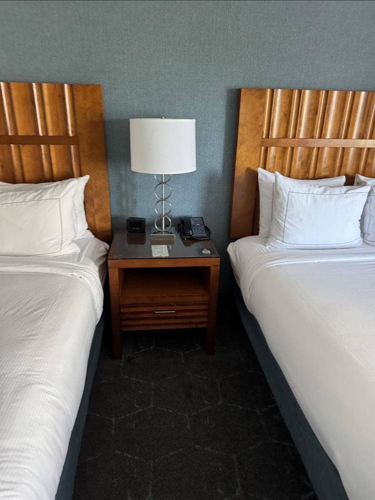 Share a nice room