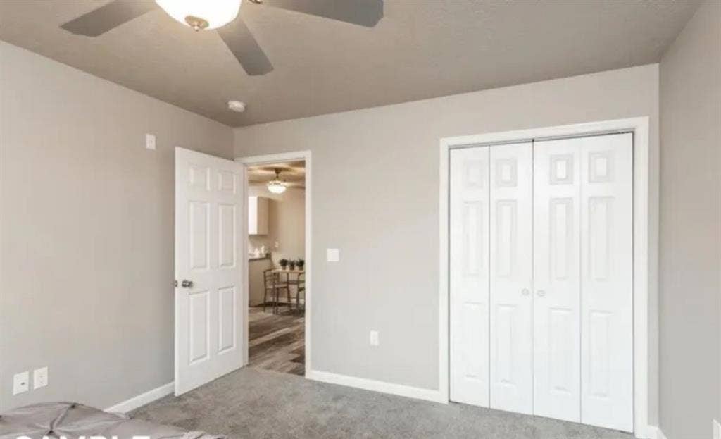 LOOKING FOR A ROOMMATE!