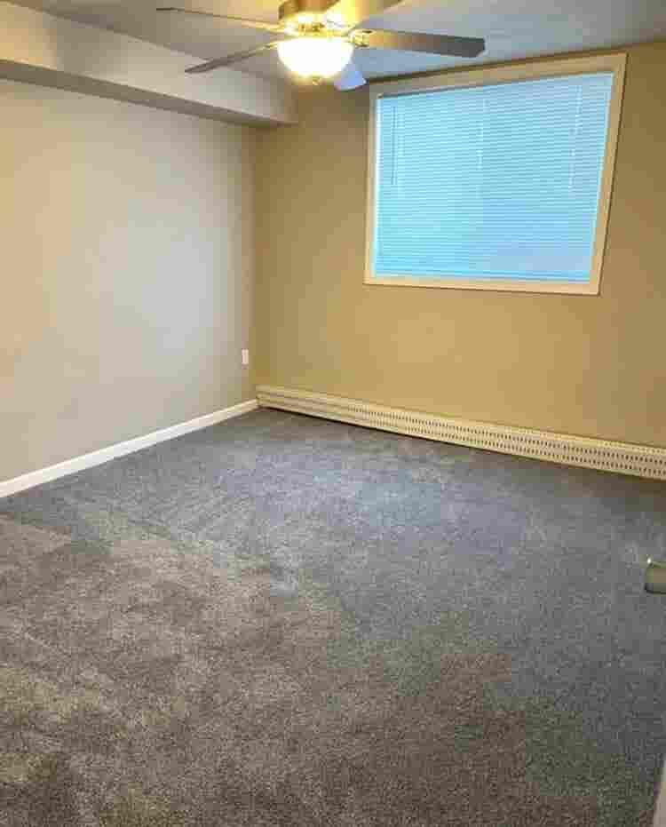 LOOKING FOR A ROOMMATE!