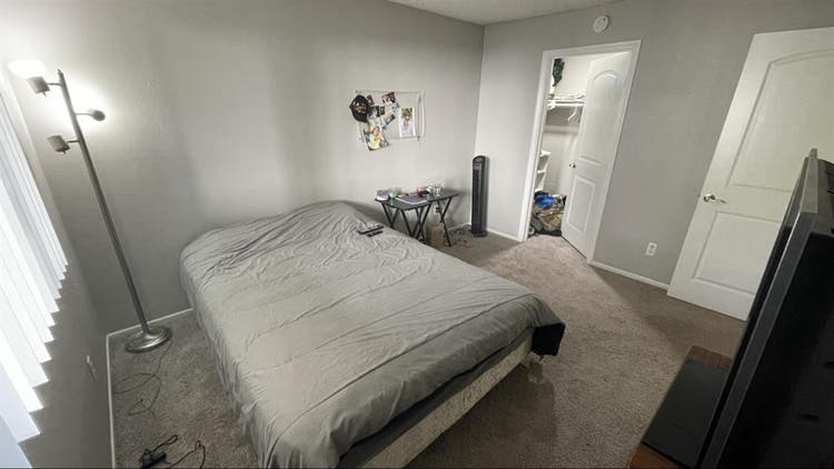 Roommate needed, available January
