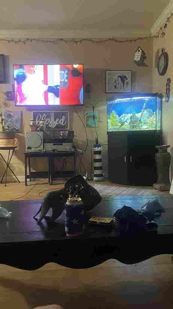 Renting a room  a month