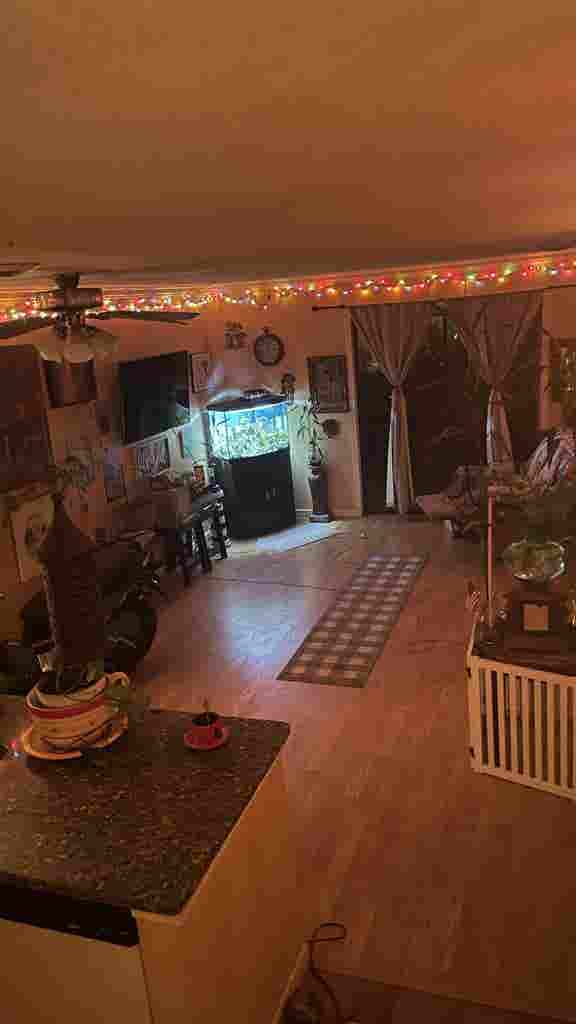 Renting a room  a month