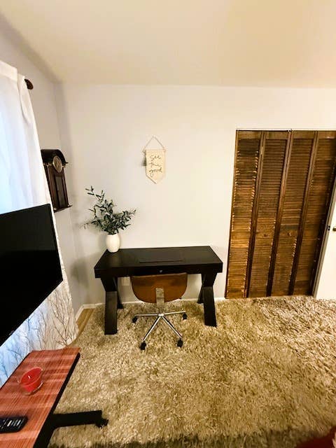 Seeking Professional Roommate