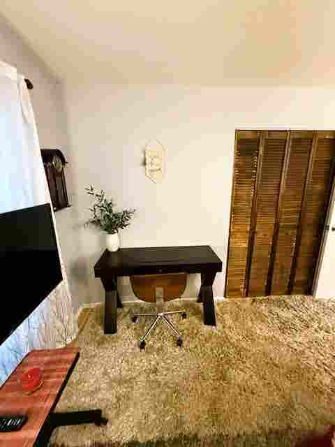 Seeking Professional Roommate