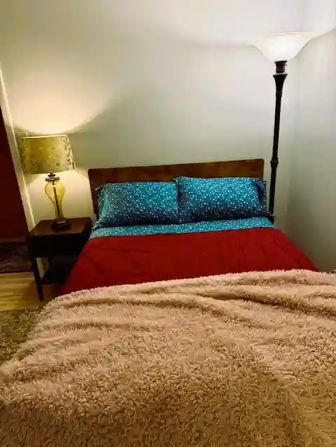 Seeking Professional Roommate