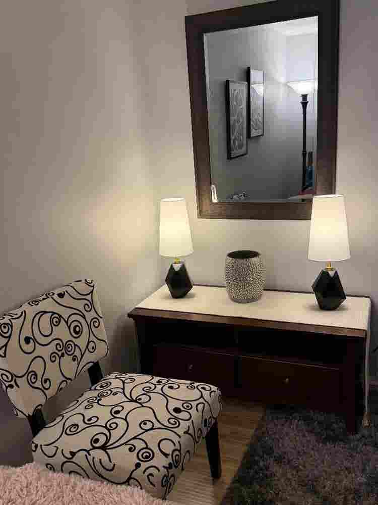 Seeking Professional Roommate