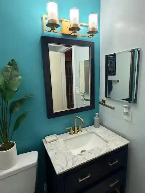 Seeking Professional Roommate