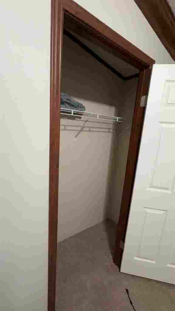 Looking for a roommate