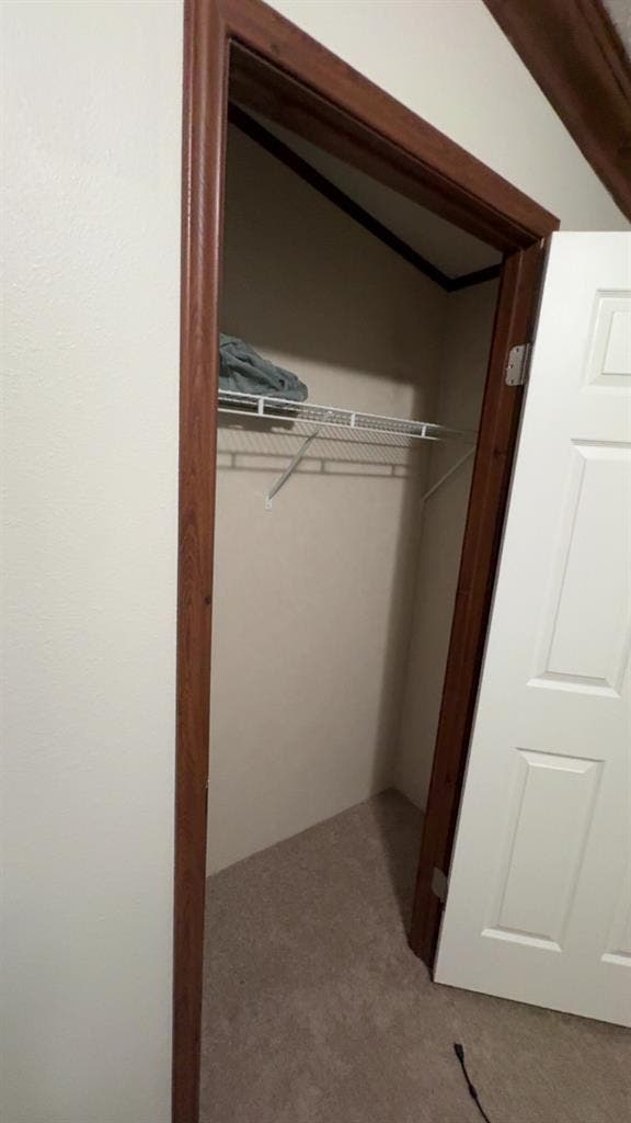 Looking for a roommate