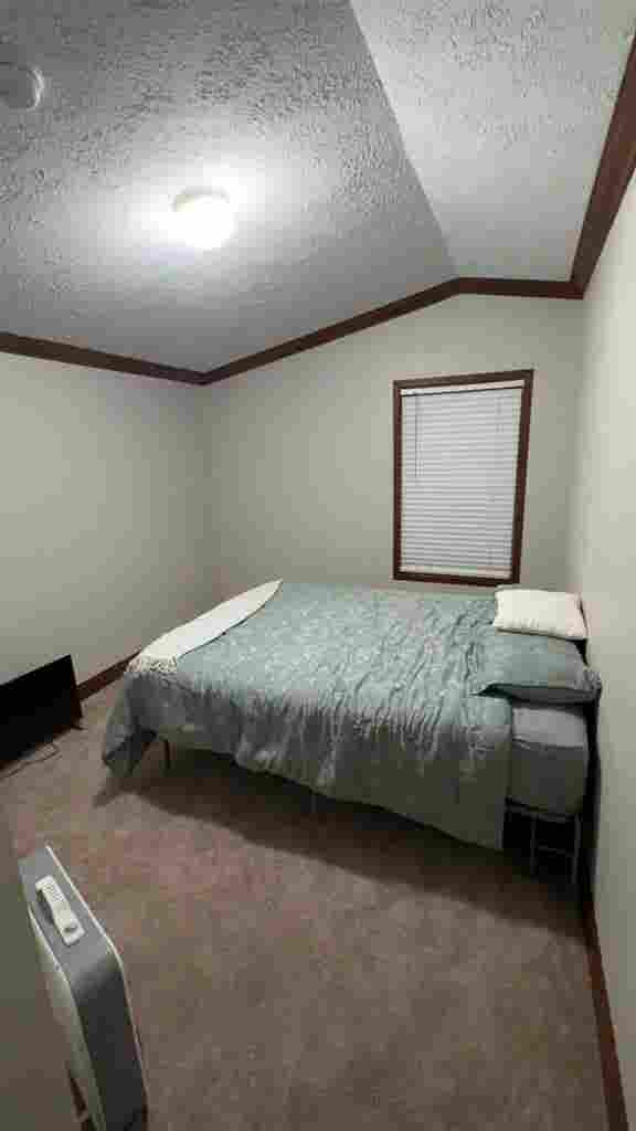 Looking for a roommate