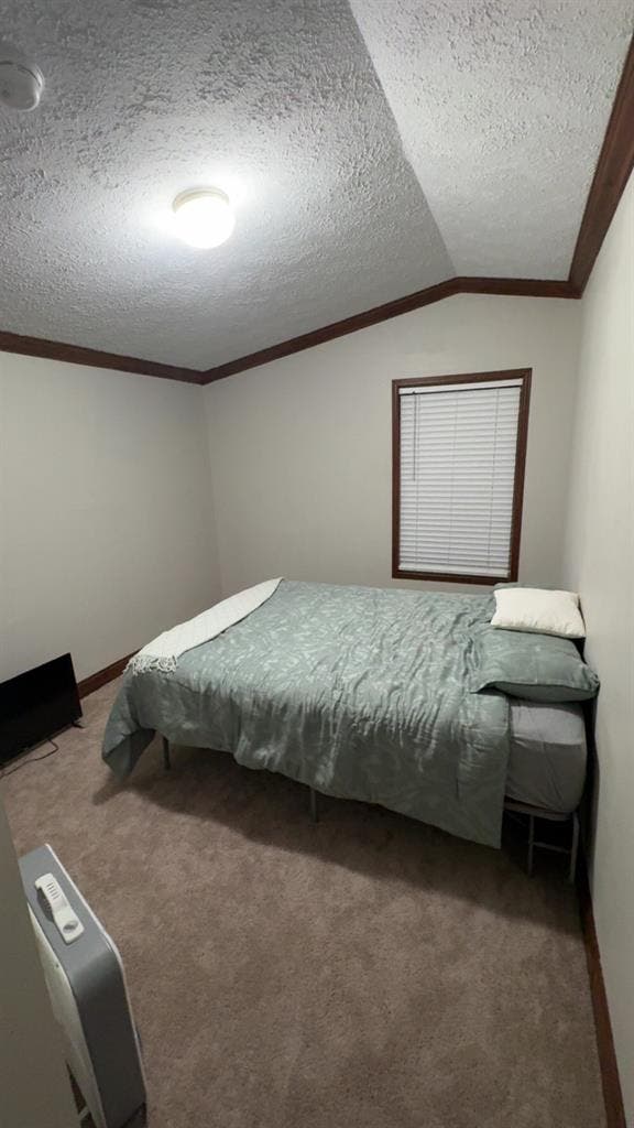 Looking for a roommate