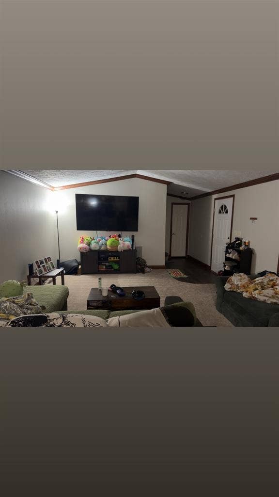 Looking for a roommate