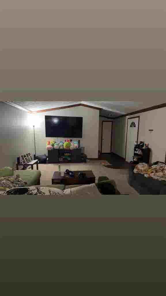Looking for a roommate