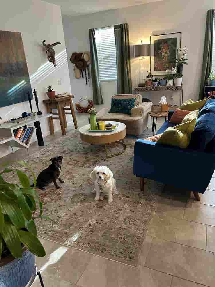 Beautifully furnish room for rent