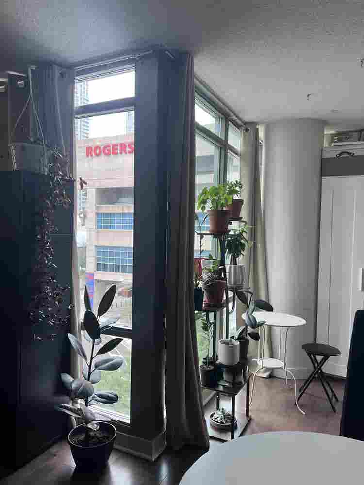 Private room near CN tower-  1 oct