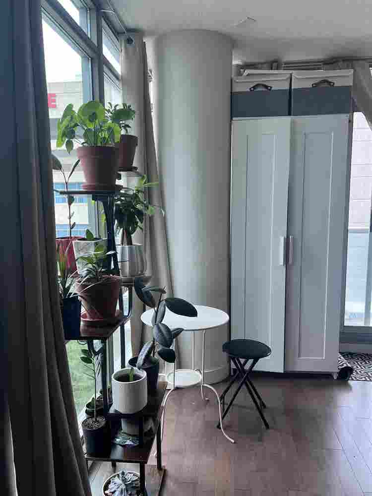 Private room near CN tower-  1 oct