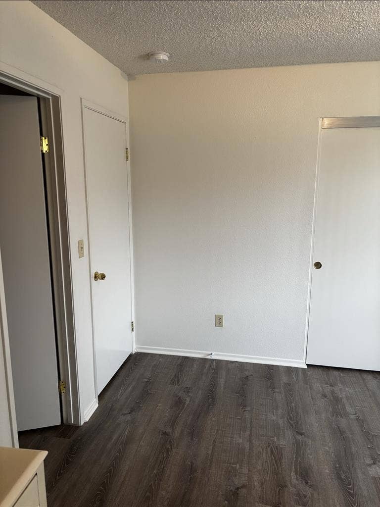 Respectful Roommate in DTF