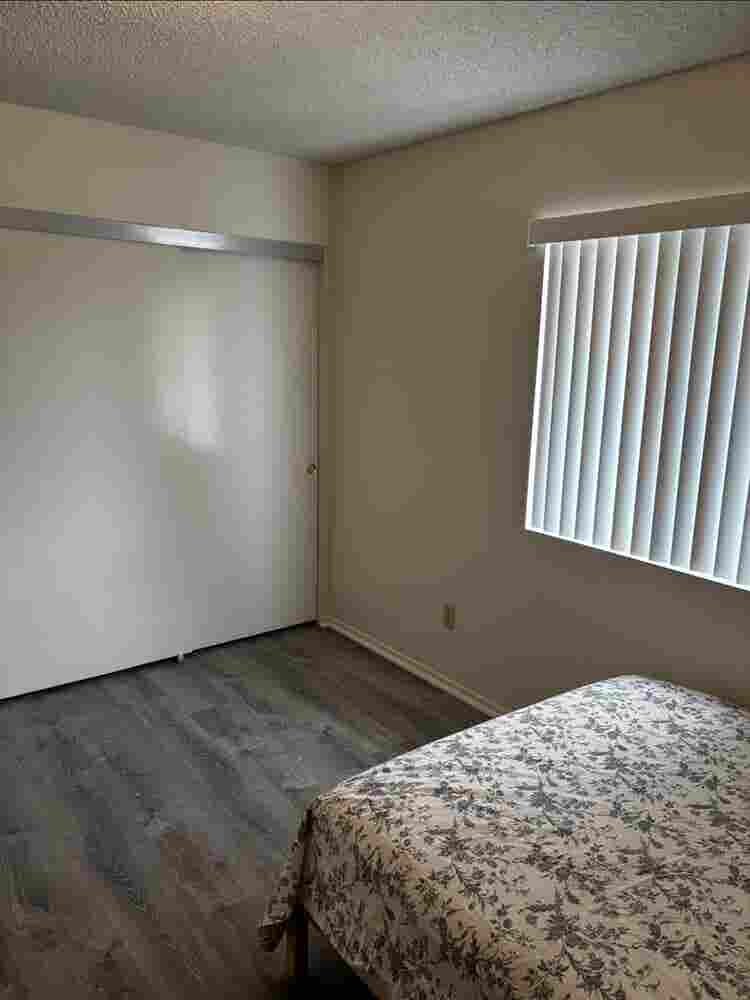 Respectful Roommate in DTF