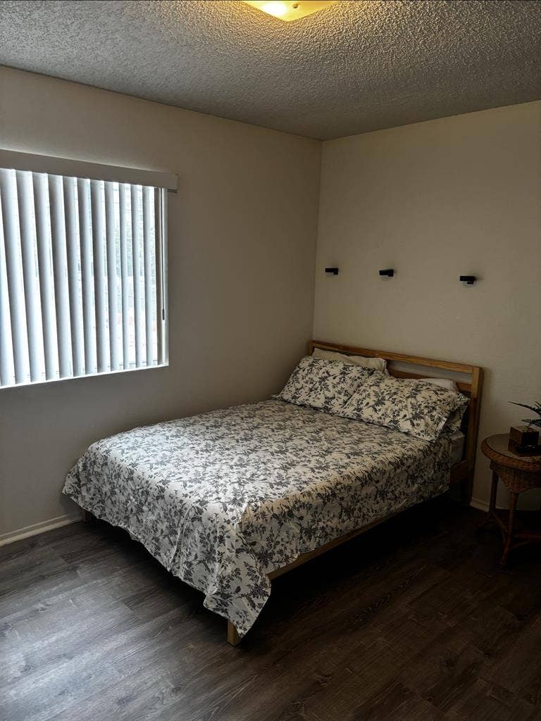 Respectful Roommate in DTF