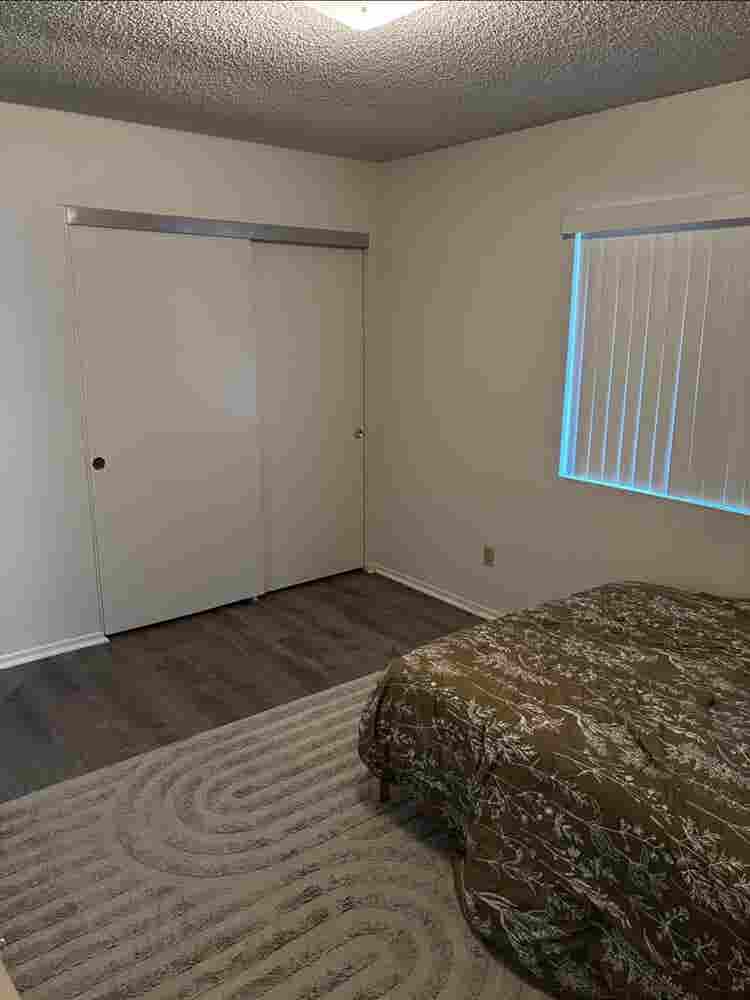 Looking for Respectful Roommate