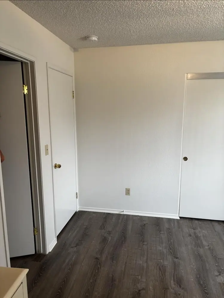 Respectful Roommate in DTF