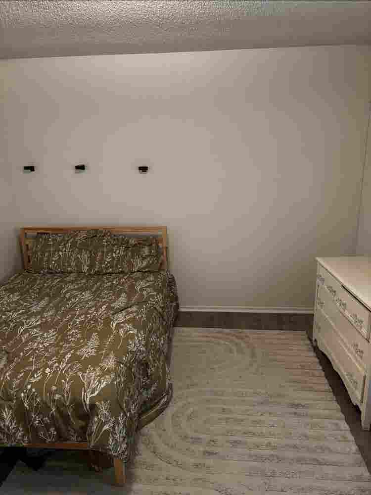 Looking for Respectful Roommate