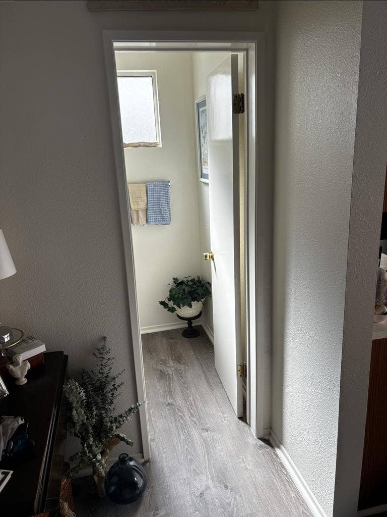 Respectful Roommate in DTF