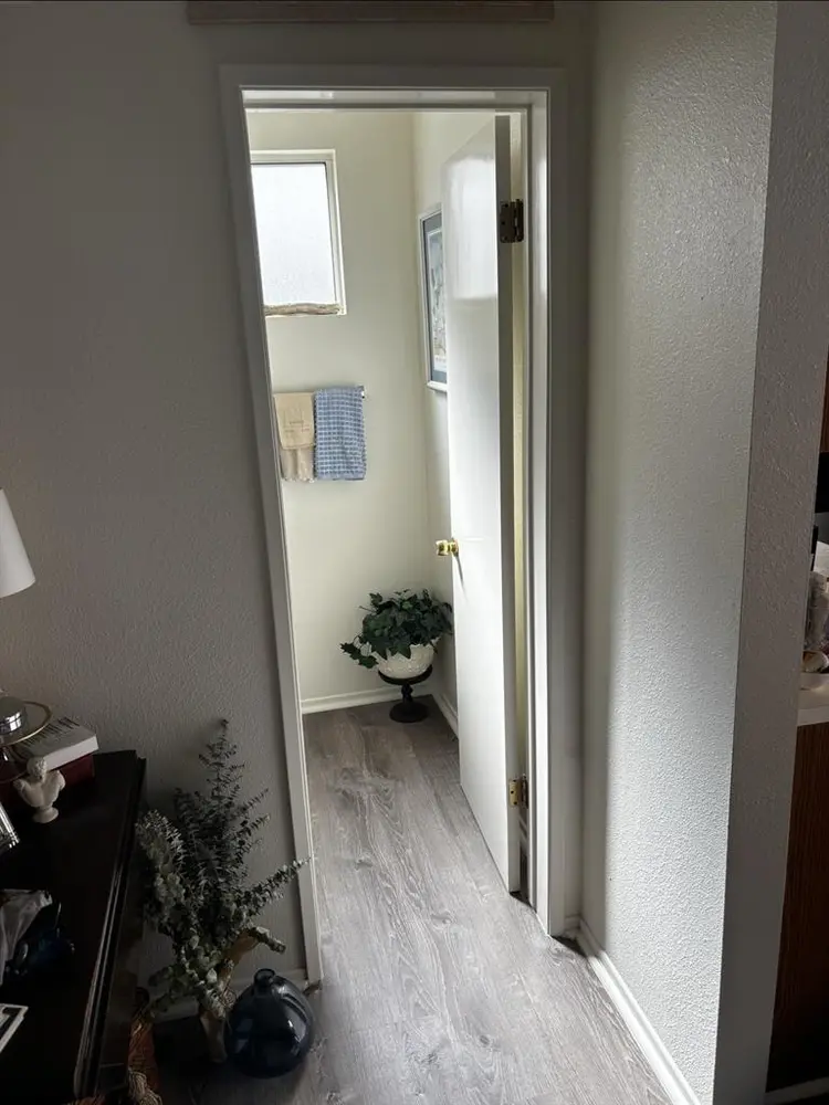 Respectful Roommate in DTF