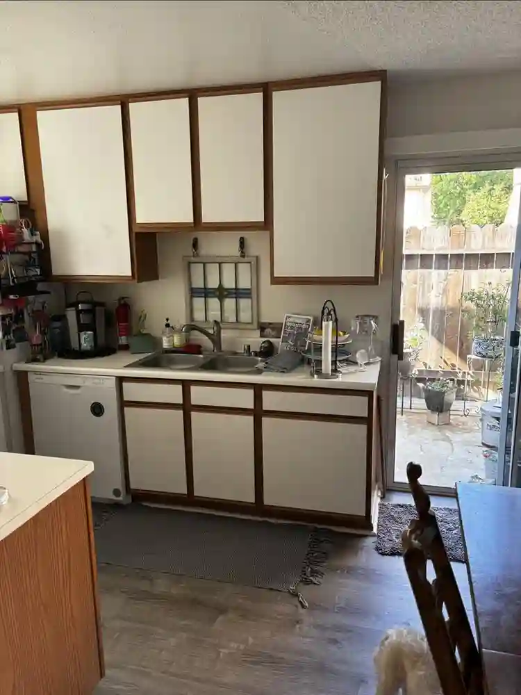 Respectful Roommate in DTF