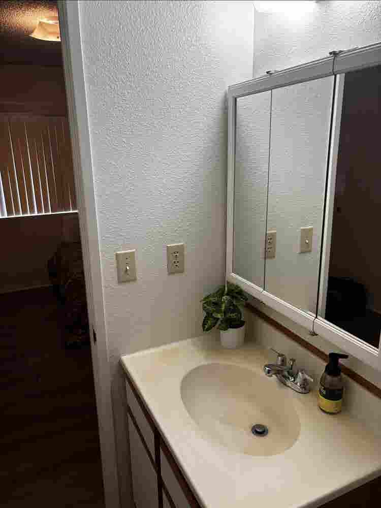 Respectful Roommate in DTF