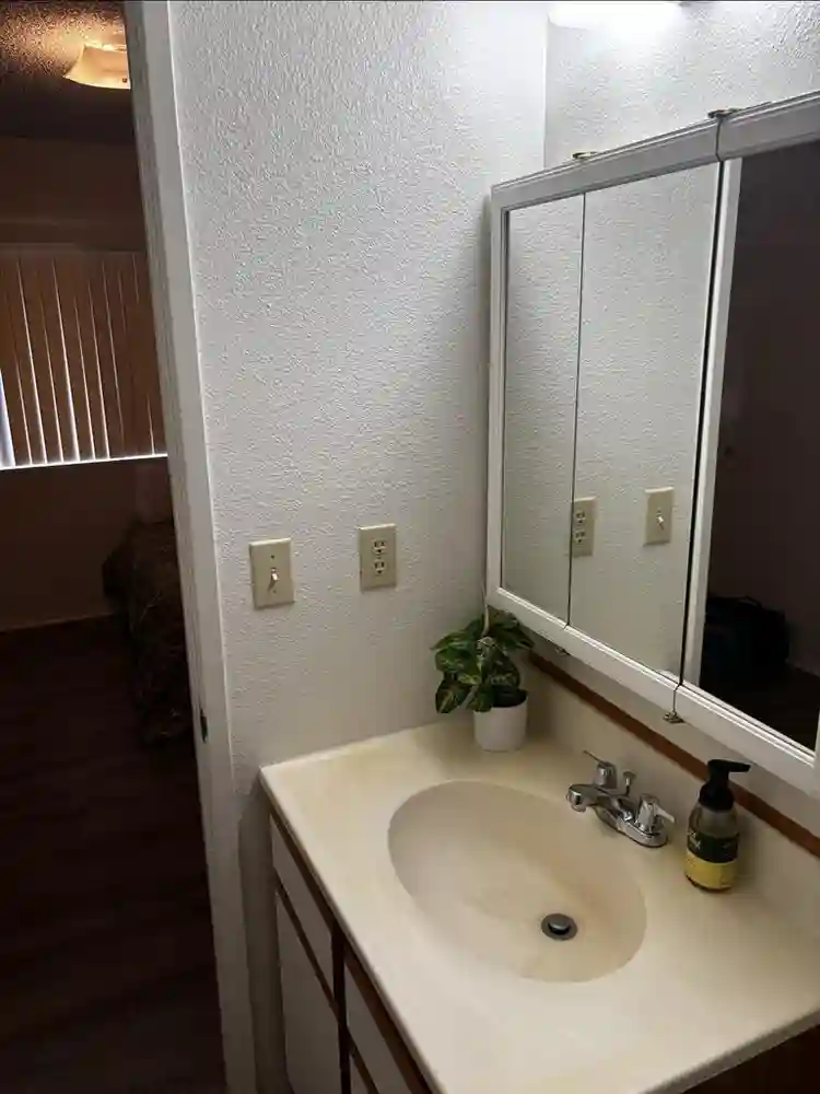 Respectful Roommate in DTF