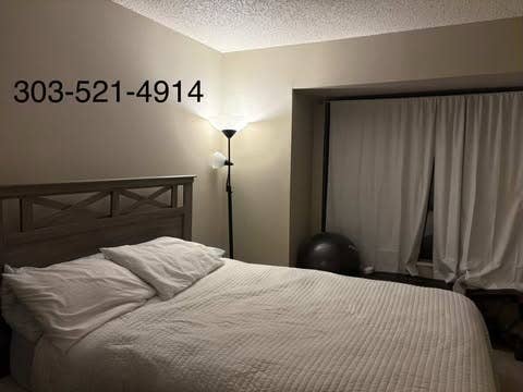 Lakewood apartment room