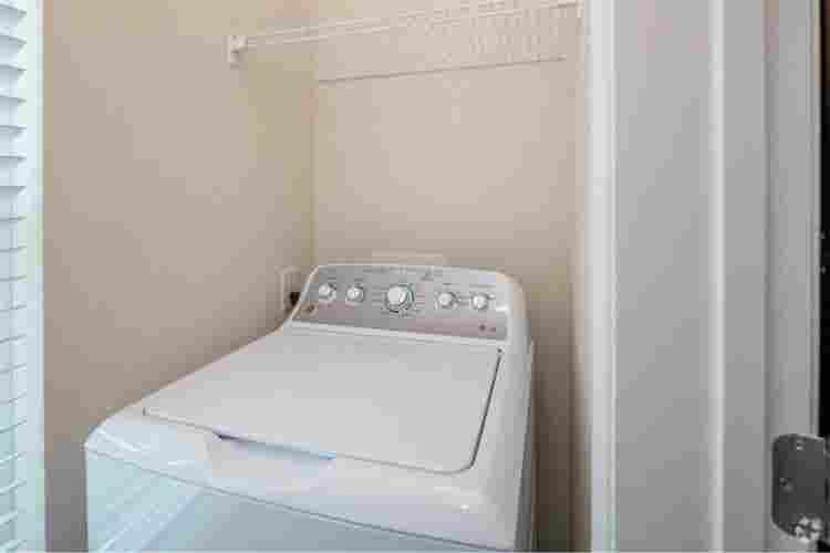 Private room and bath for rent