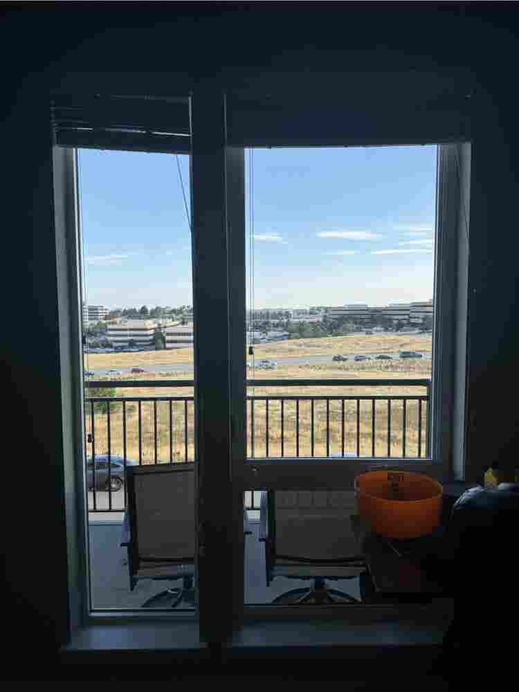 Looking for a roommate!