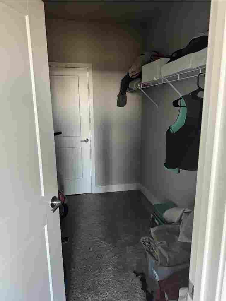 Looking for a roommate!