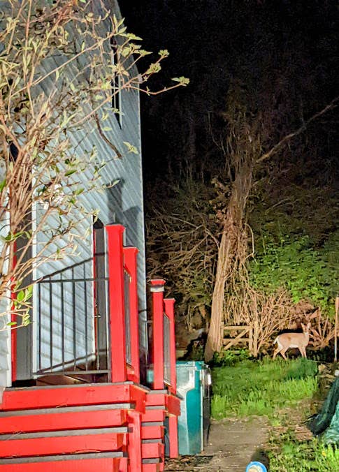 Walk to University of Cincinnati