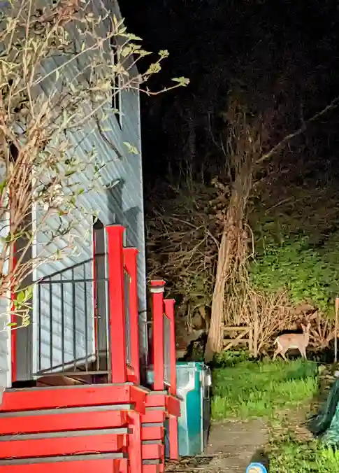 Walk to University of Cincinnati