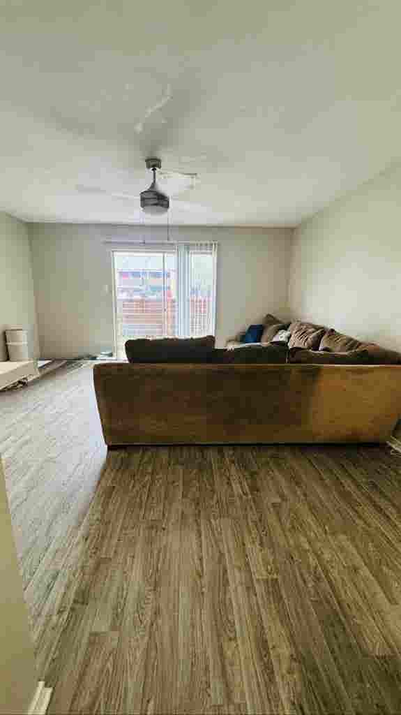 Shared Room for Rent- Attached bath