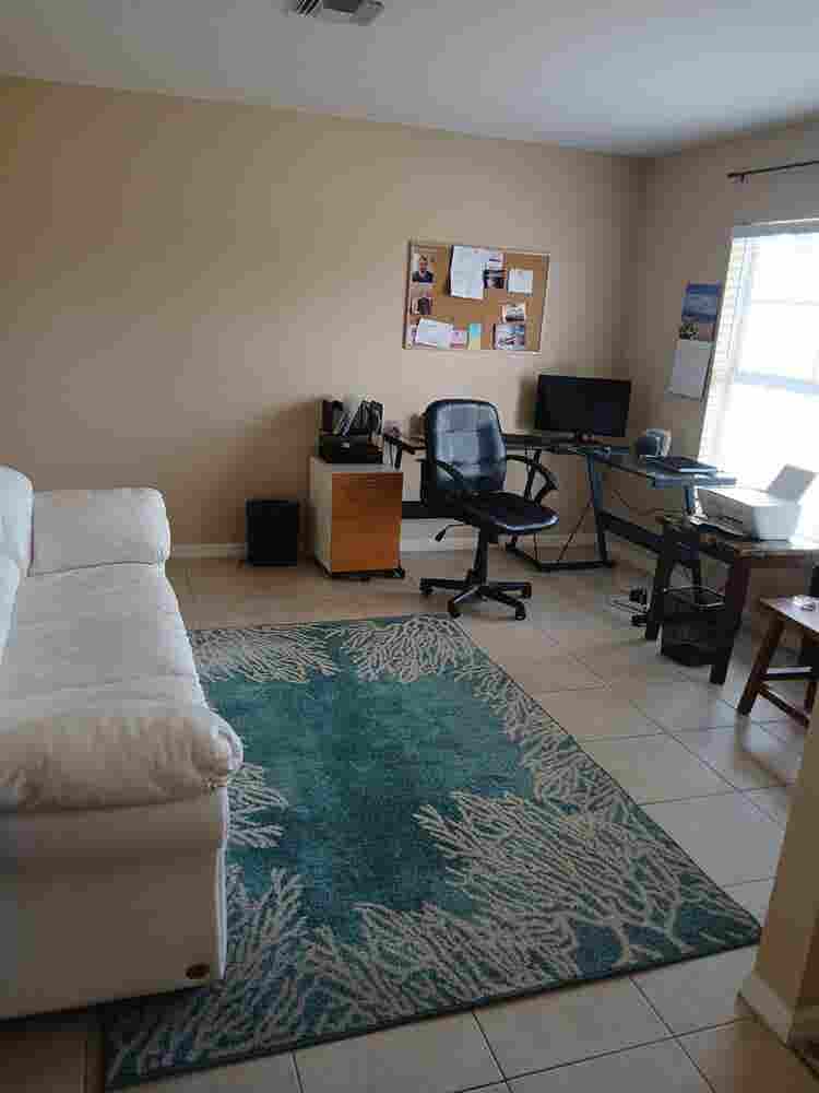 Professional roommate wanted