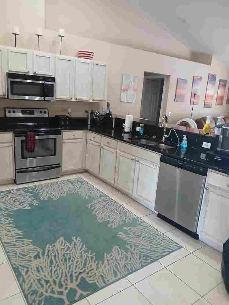Professional roommate wanted