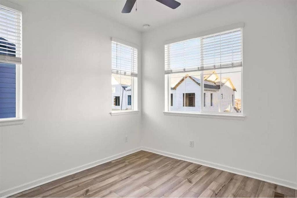 Roommate Wanted