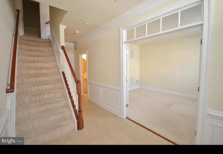 Chill, clean roommate needed