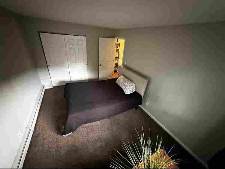 Furnished Room - Lakewood