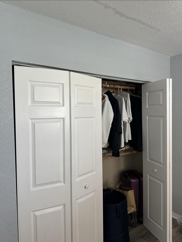 Roommate needed