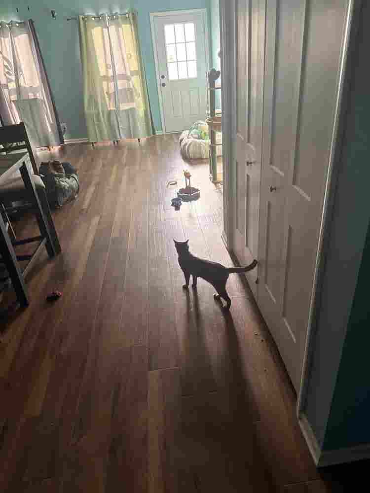 Two rooms available $ maximum